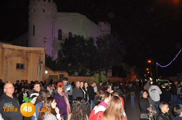 tree light 1208 (53).JPG